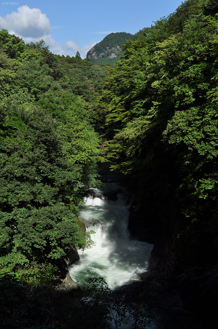 鎌倉山　ゴリラ山